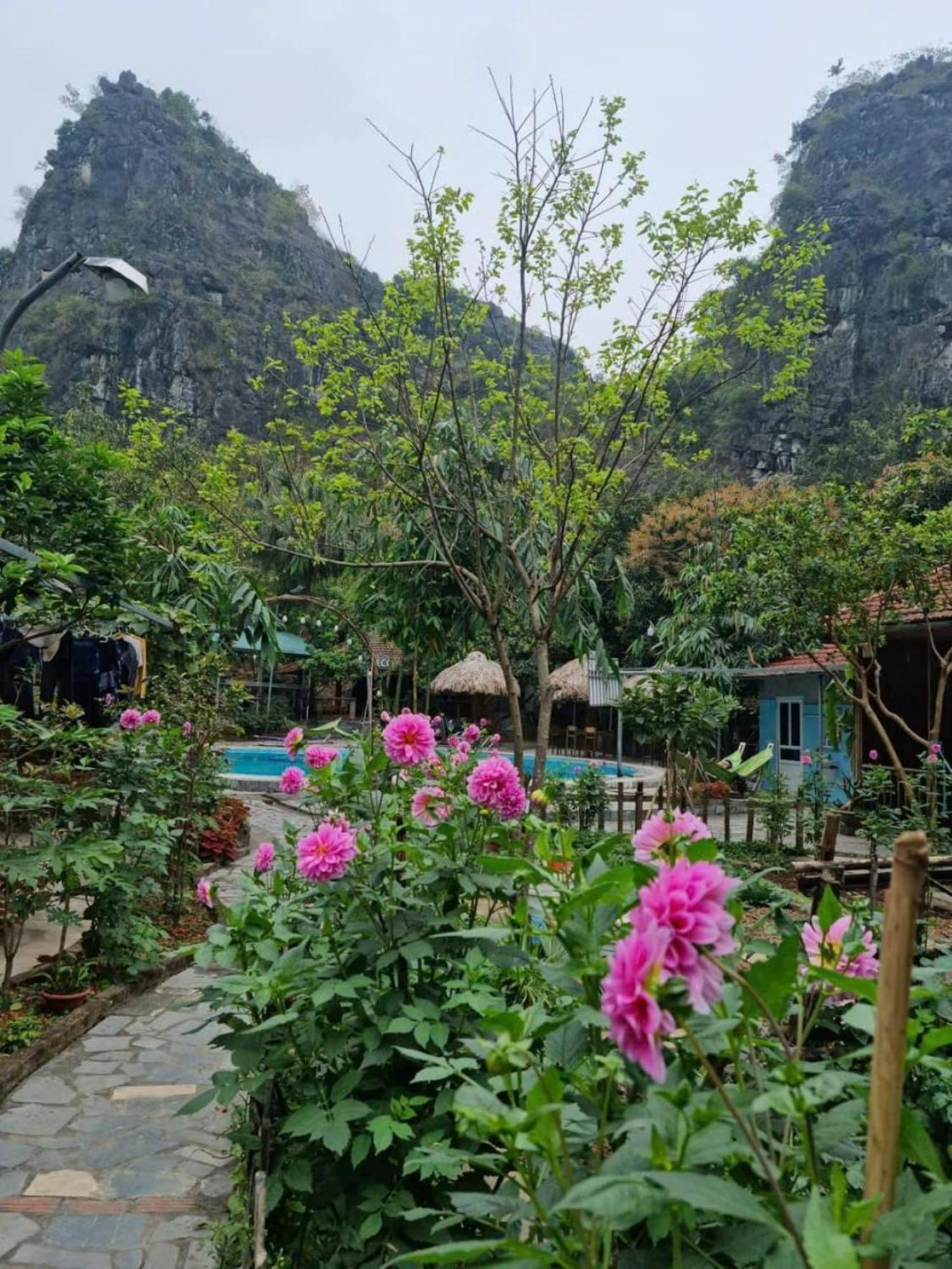 Hoalu Ecolodge Homestay Ninh Binh Zewnętrze zdjęcie