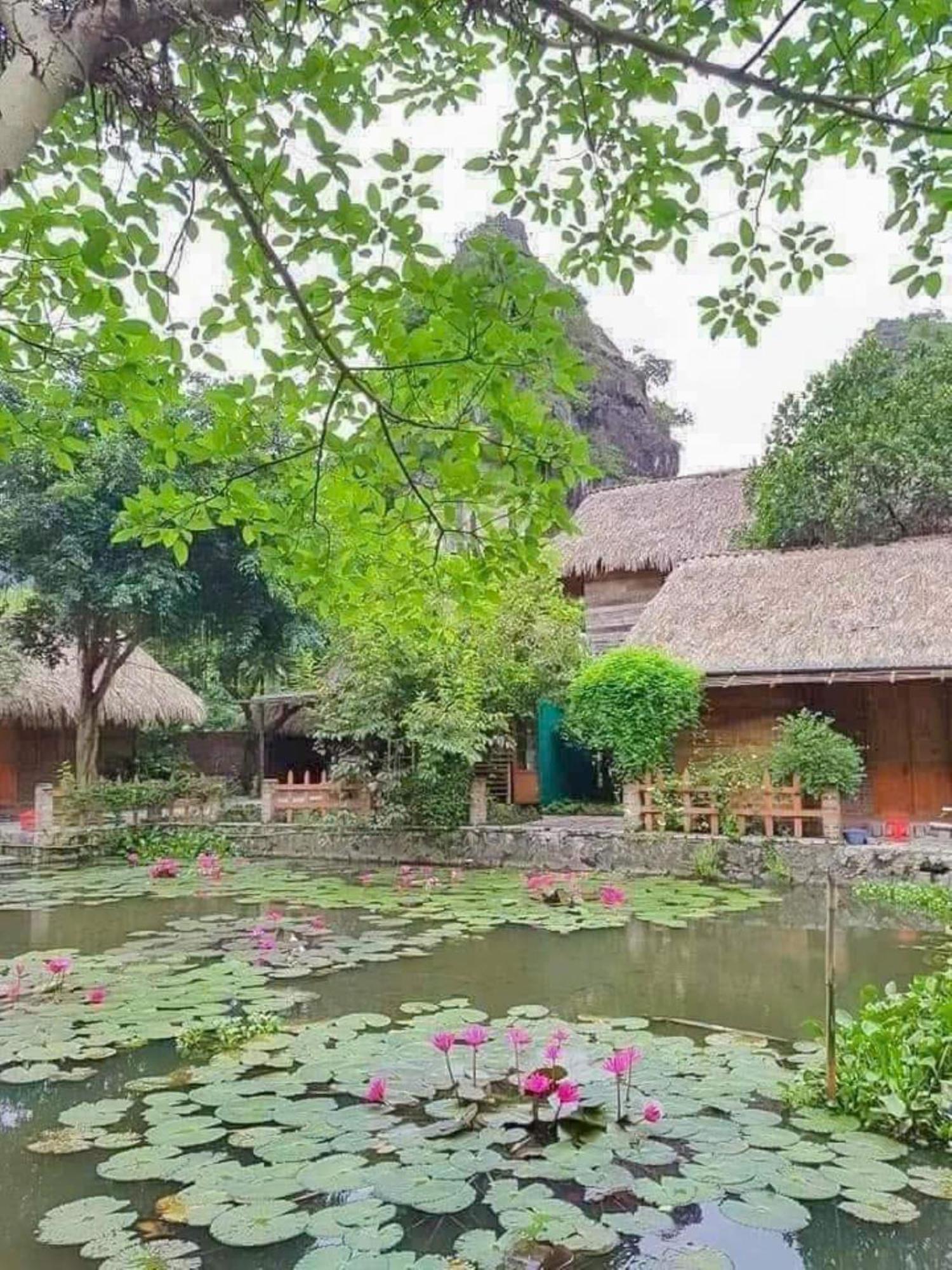 Hoalu Ecolodge Homestay Ninh Binh Zewnętrze zdjęcie